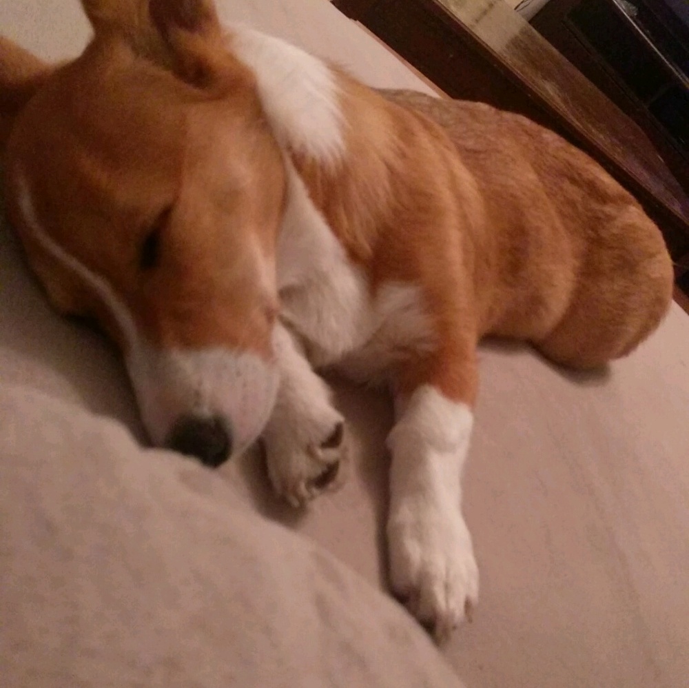 Meet your Posher, Andrea